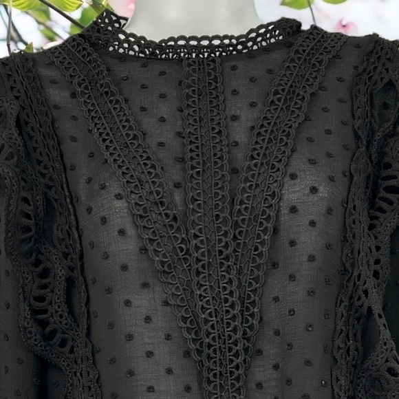 Sheer Blouse Long Sleeves - Picture 4 of 4